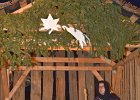 Michal Sláma : 25.11.2018
